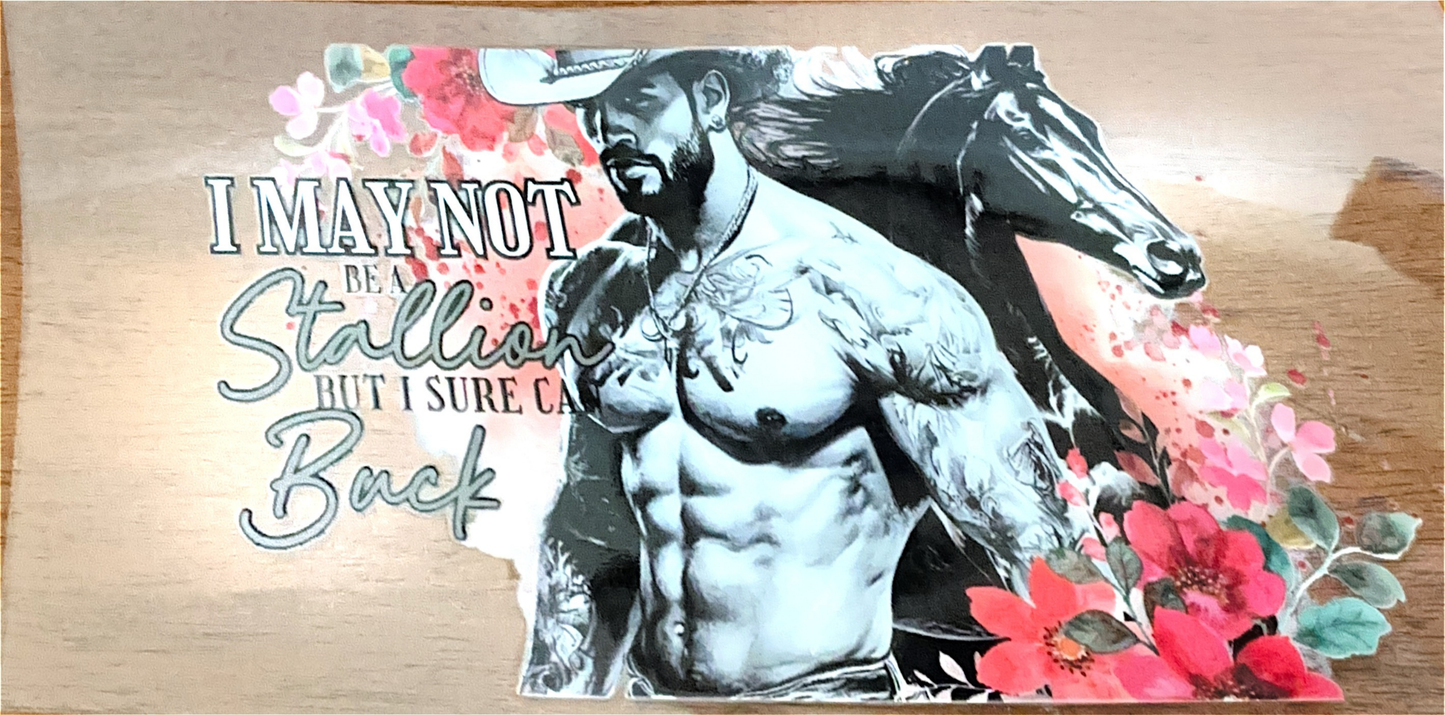 i-may-not-be-a-stallion-cowboy