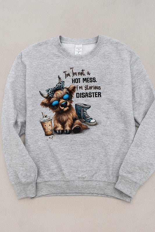 Funny Grey Jumpers | “Glorious Disaster” “Shut the Fucupcakes” Crewnecks | Unisex Humour Sweaters | Sassy & Sarcastic Gifts