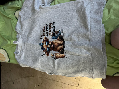 Funny Grey Jumpers | “Glorious Disaster” “Shut the Fucupcakes” Crewnecks | Unisex Humour Sweaters | Sassy & Sarcastic Gifts