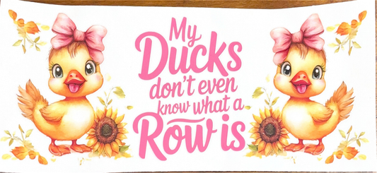 big-bow-ducks-dont-know-what-a-row-is