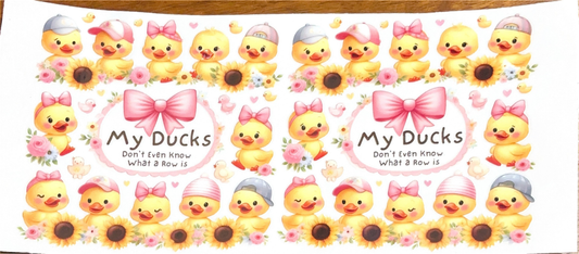 my-ducks-dont-even-know-what-a-row-is-baby-ducks