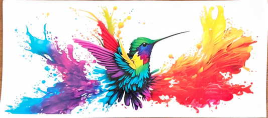 rainbow-humming-bird