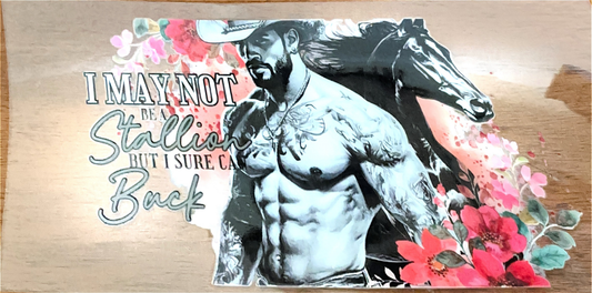 i-may-not-be-a-stallion-cowboy