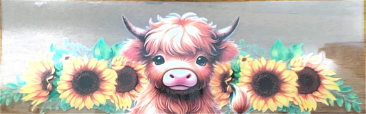 sunflower-baby-highland-cow