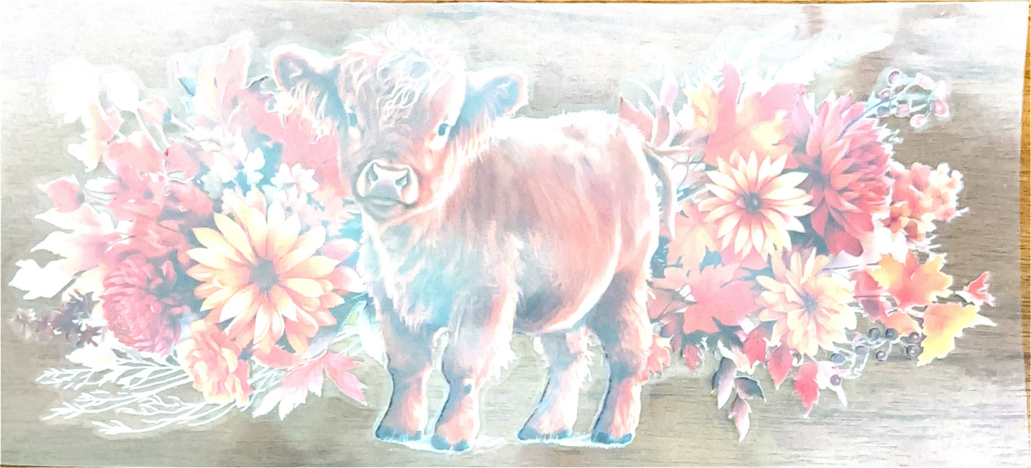 autumn-highland-cow