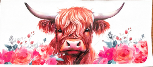 rose-red-orange-ombre-rose-highland-cow