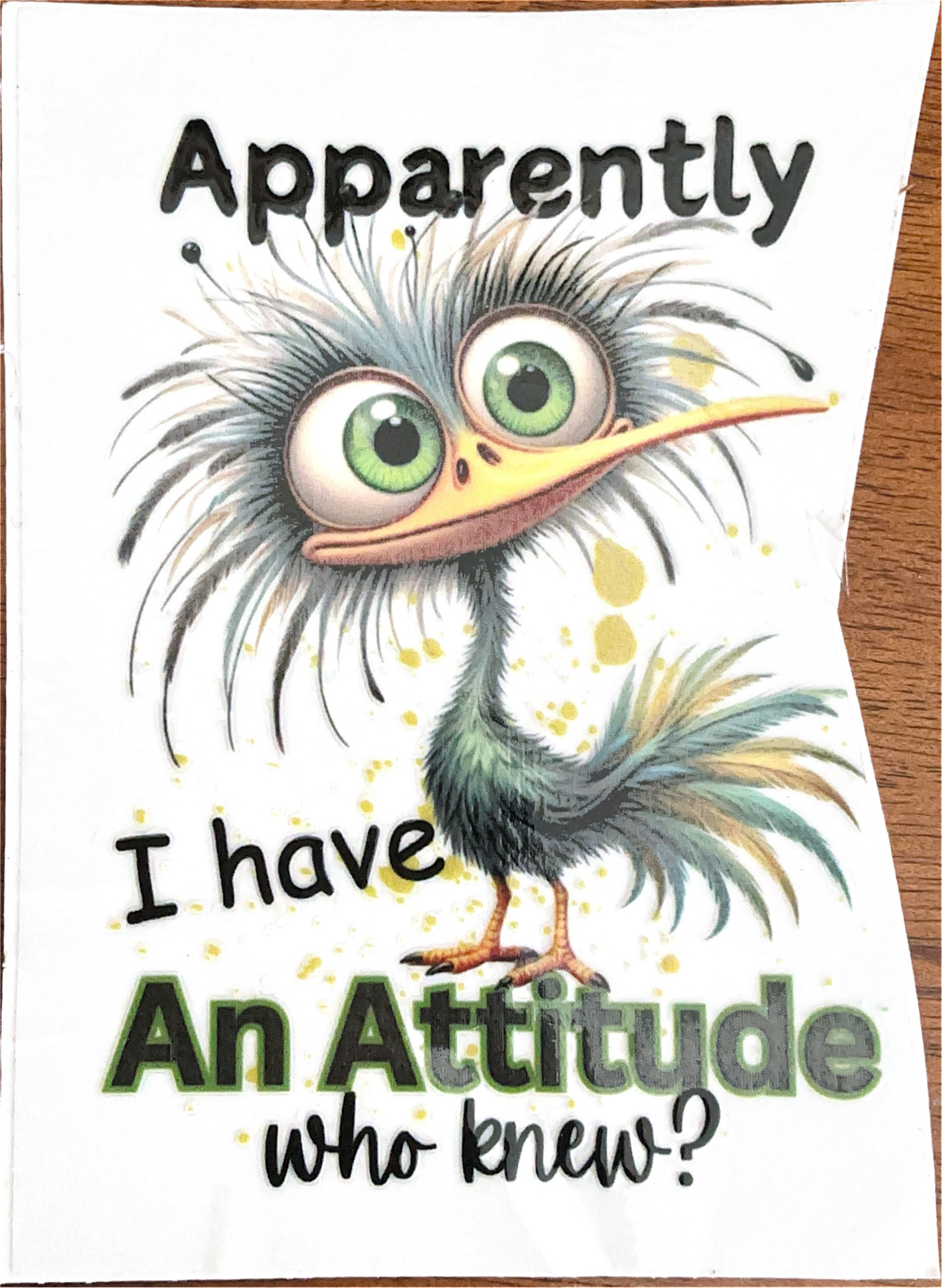 crazy-chicken-cup-decals