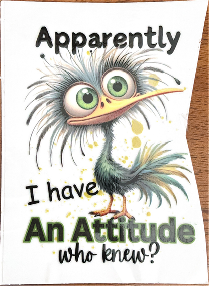 crazy-chicken-cup-decals